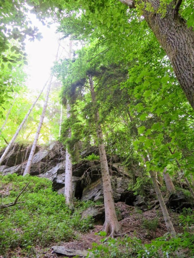 La Roche En Ardenne , Welcome Eksteriør billede